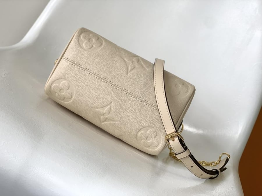 LV Speedy Bag 20.513.512cm