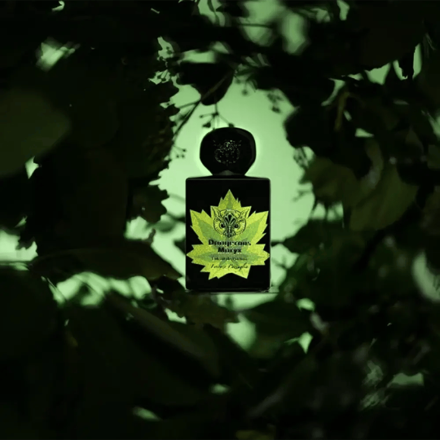 عطر دينجرس ماريكس من لورينزو بازاجليا إكستريت دو بارفان 50 مل