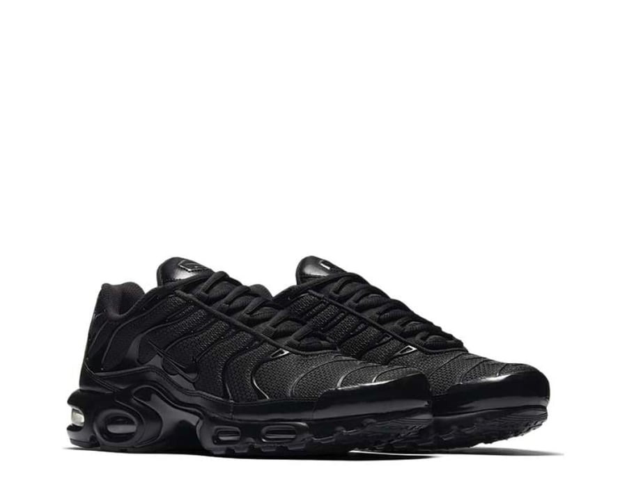 Nike Air Max Plus