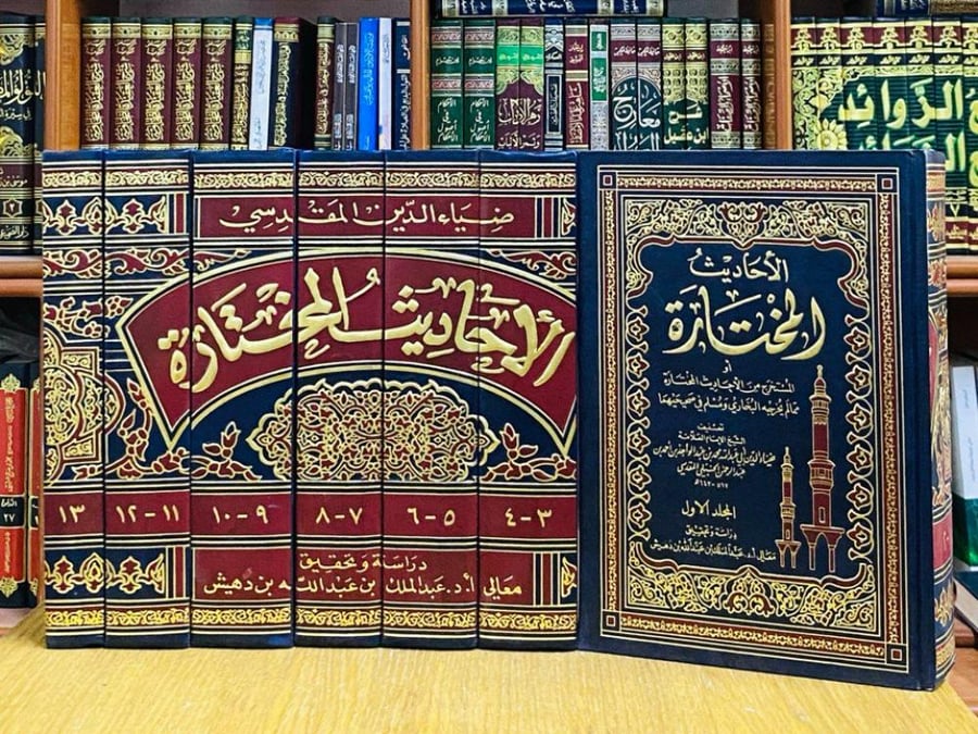 الأحاديث المختارة - ضياء الدين المقدسي 1 / 13