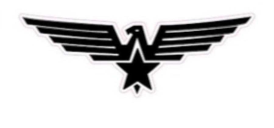 صقر مع نجمة 2