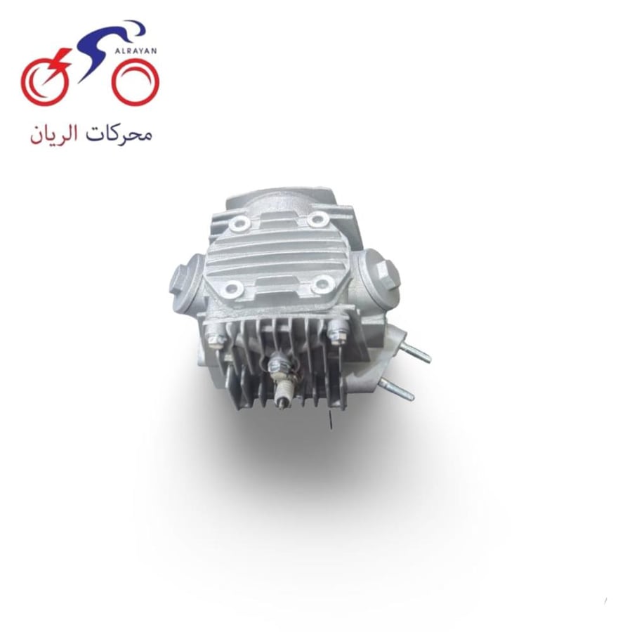 راس سلندر جحش
