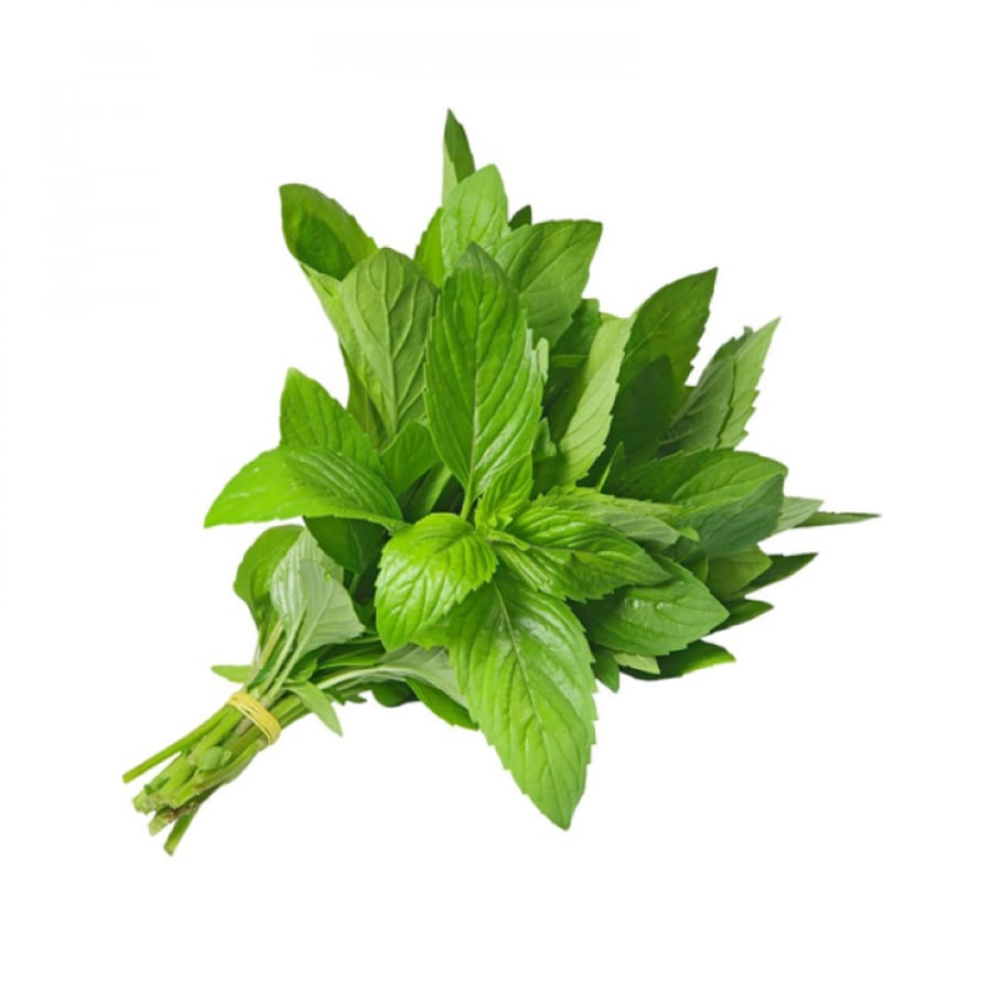 ثيرابريث غسول الفم منعش بالنعناع الخفيف 473 مل (Mild Mint)