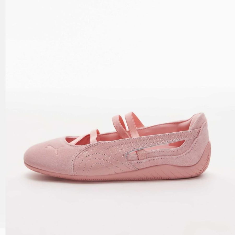 Puma ballet