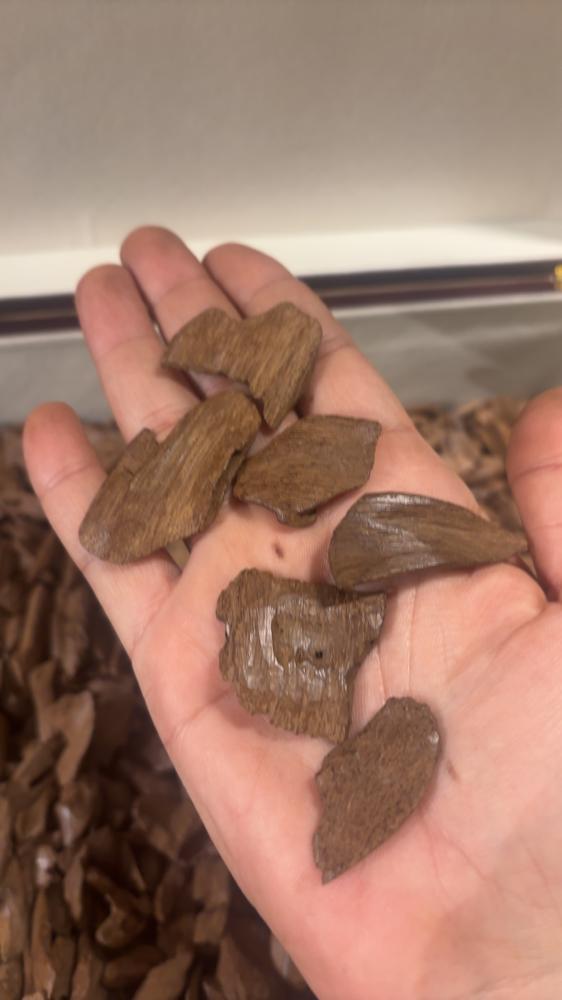 موروكي قطع ذهبية