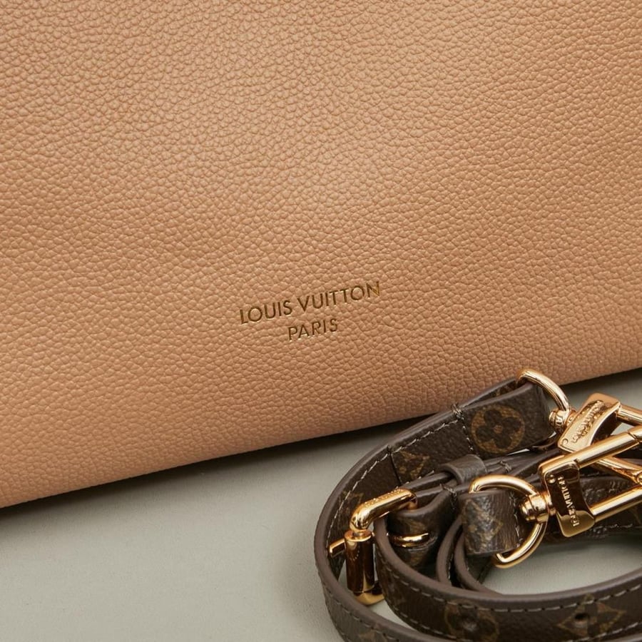 Louis Vuitton multi-pass bag - beige