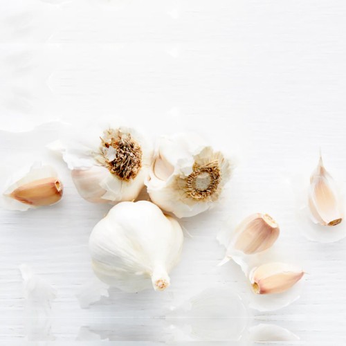 Garlic