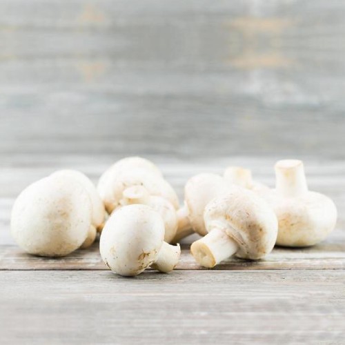 White Mushrooms
