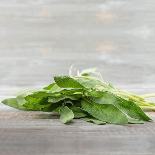 Sage
