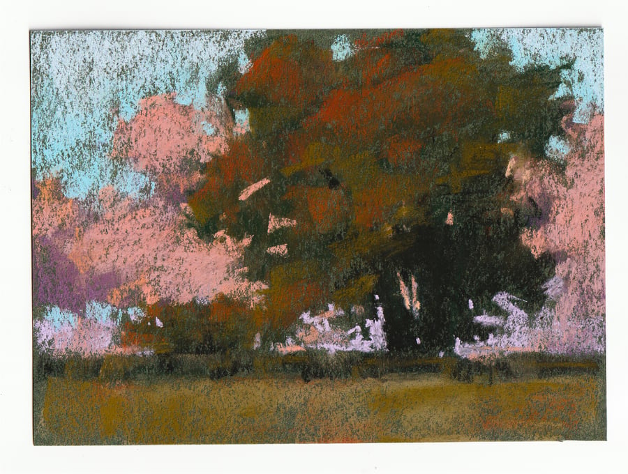 Autumn Sketch, 2025
