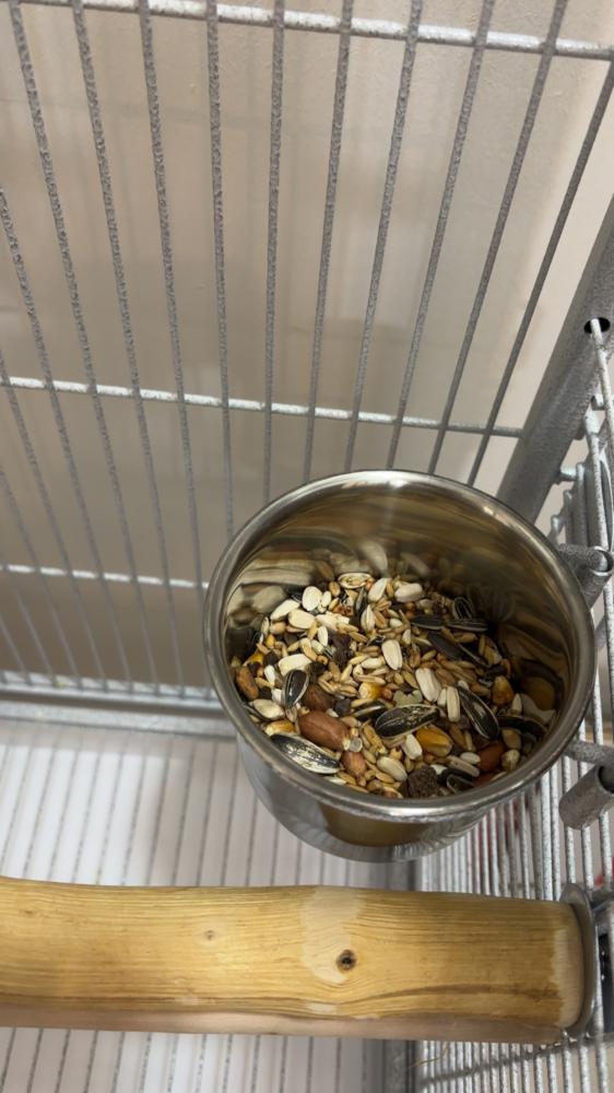 قفص مناسب للببغاوات الكبيره والمتوسطة