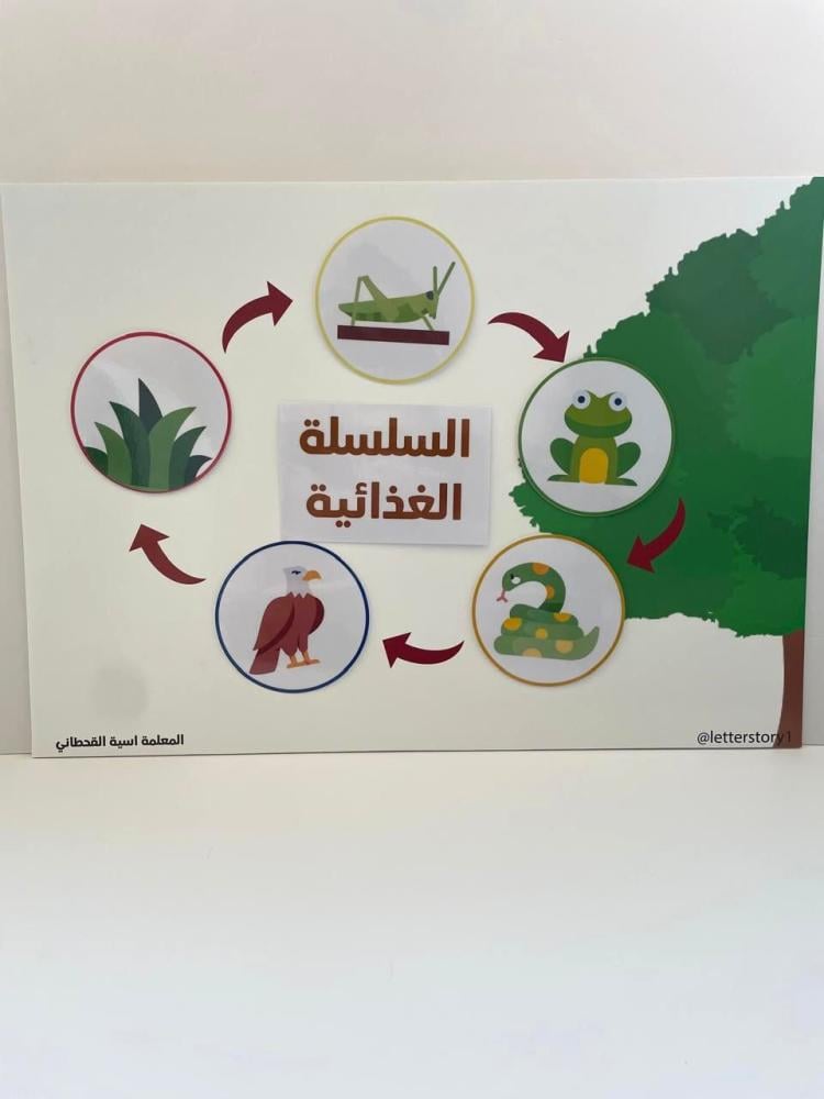 لوحة السلسلة الغذائية