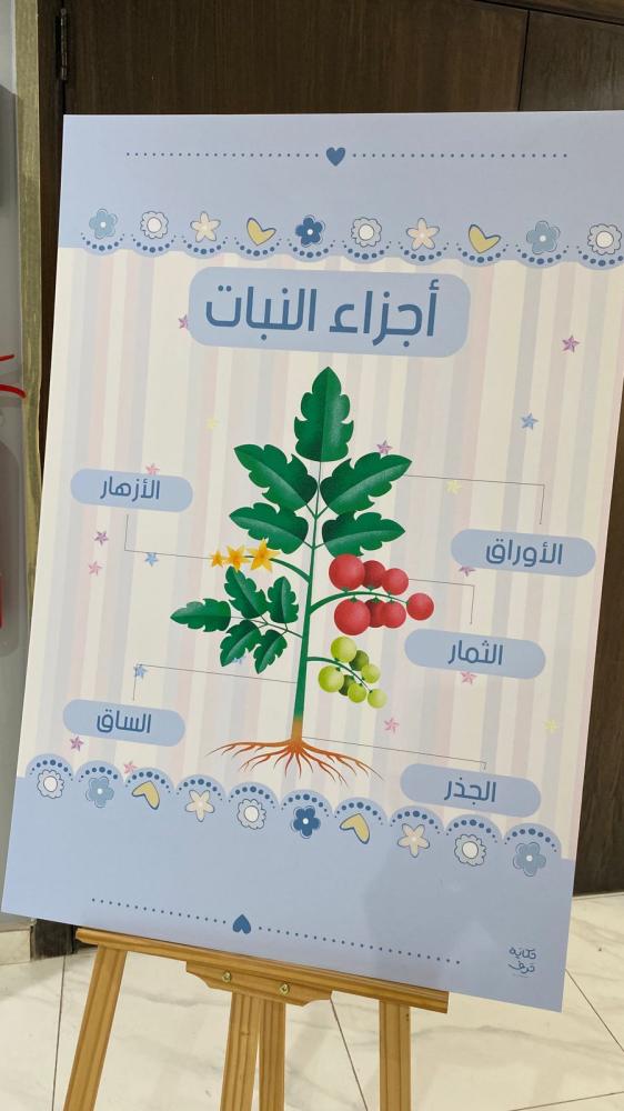 لوحة اجزاء النبات