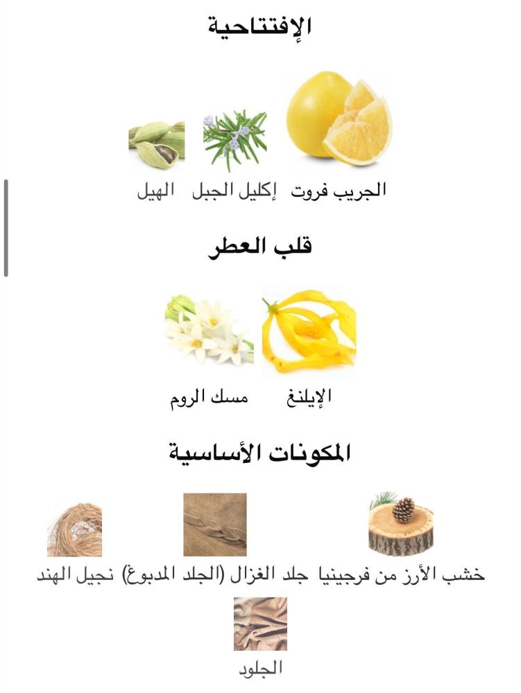 KING -  كينج