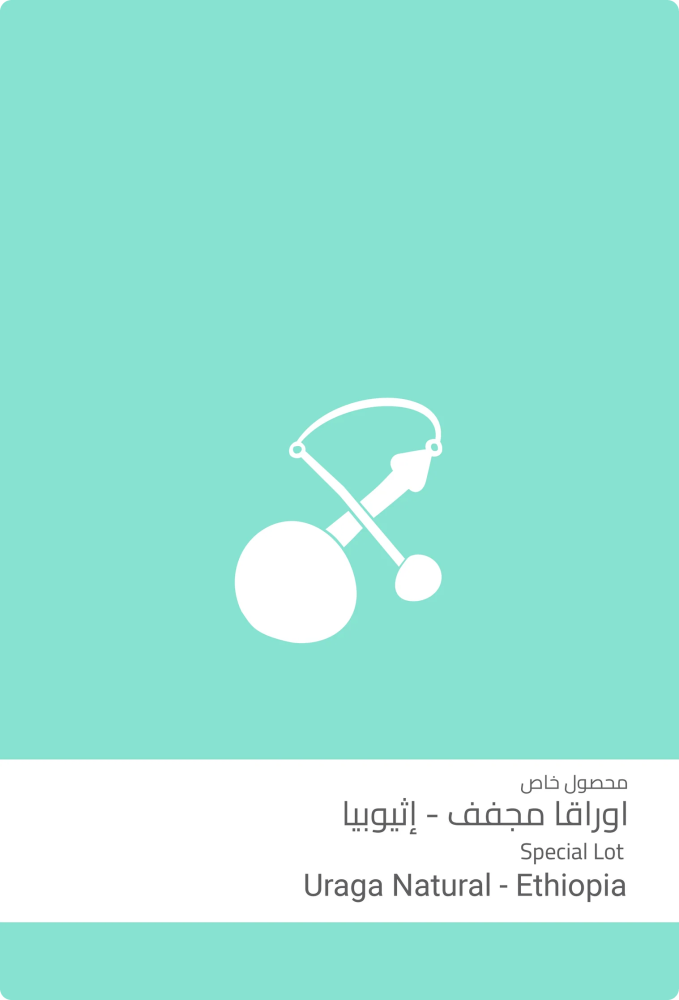 اوراقا مجفف (فاخر) - سلالات القهوة - فرع البيعة فقط