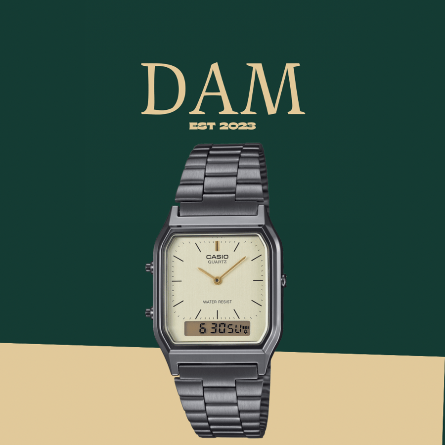 Casio Vintage watch (Titanium)