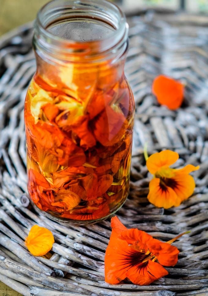 بذور زهور نسترشيوم ( ابو خنجر ) الاسكا سلمون برتقالي ( شركة جونسون ) - Nasturtium ALASKA SALMON ORANGE