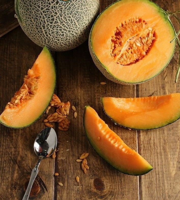بذور  شمام جاد ليدي ميلون ( هجين ) -  Jade Lady Melon F1 Melon Seeds
