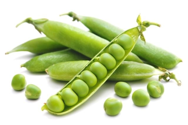 بذور بازلاء الكسندرا - WRINKLED PEAS ALEXANDRA
