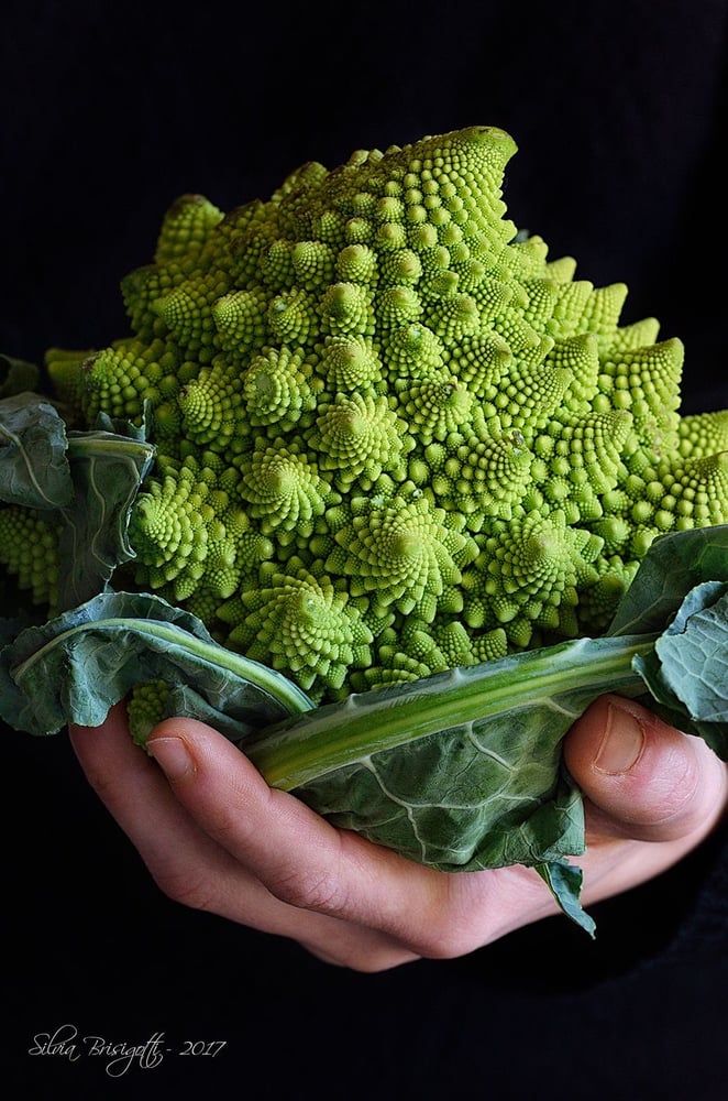 بذور قرنبيط رومانسكو - ROMANESCO NATALINO