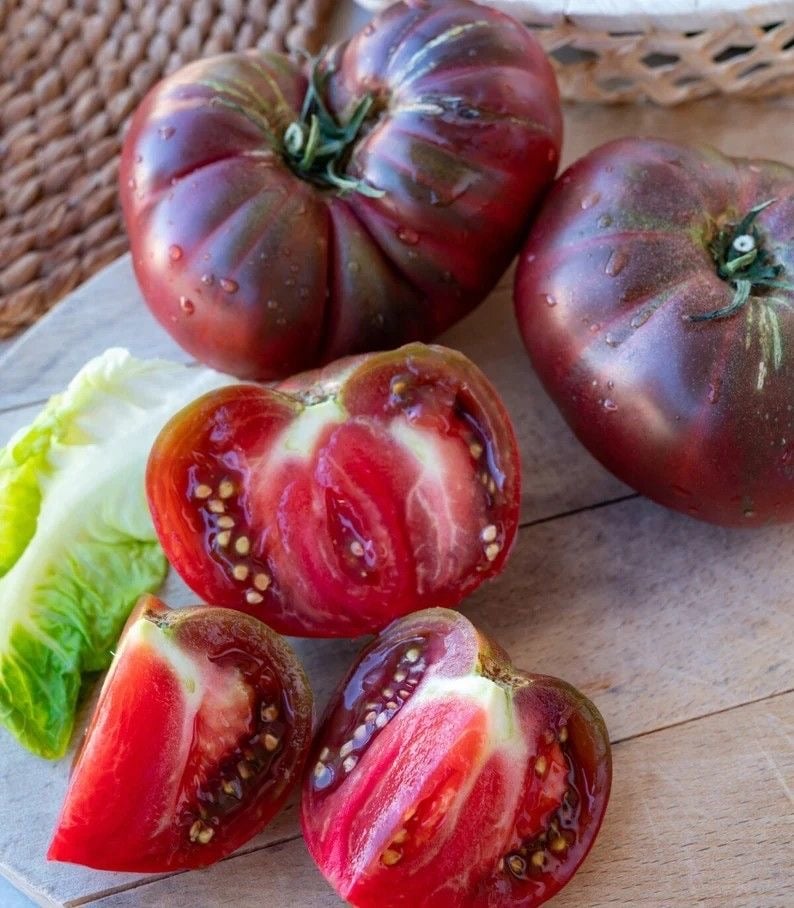 تشكيلة بذور 8 انواع طماطم منوع -Seeds for 8 different types of tomatoes