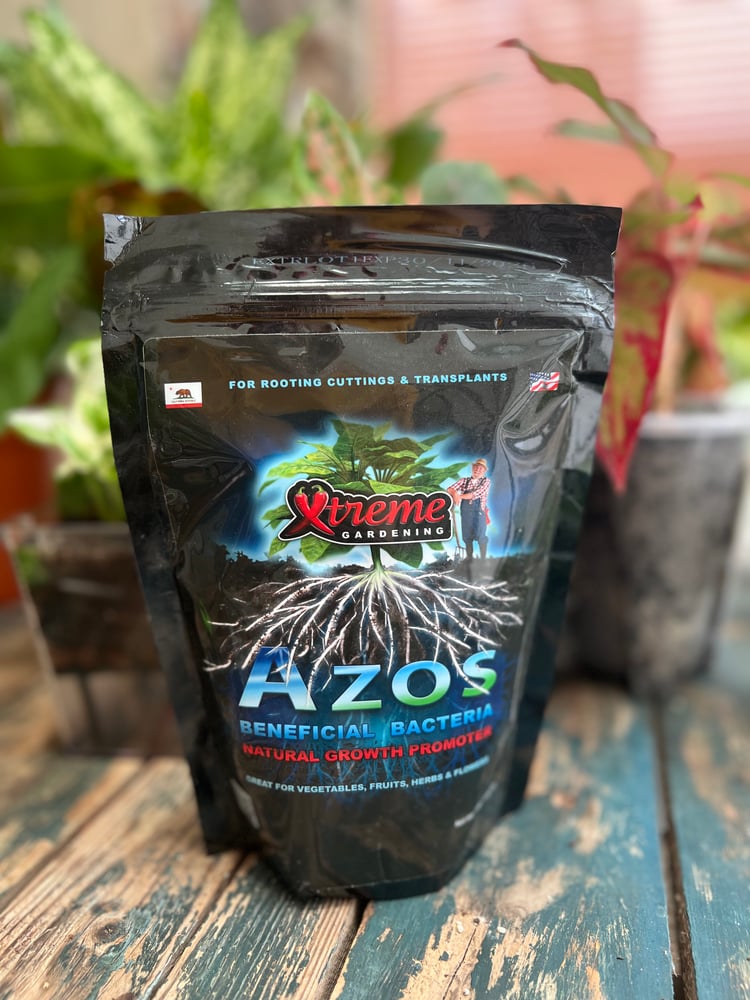 بكتيريا نافعة - AZOS Beneficial Bacteria