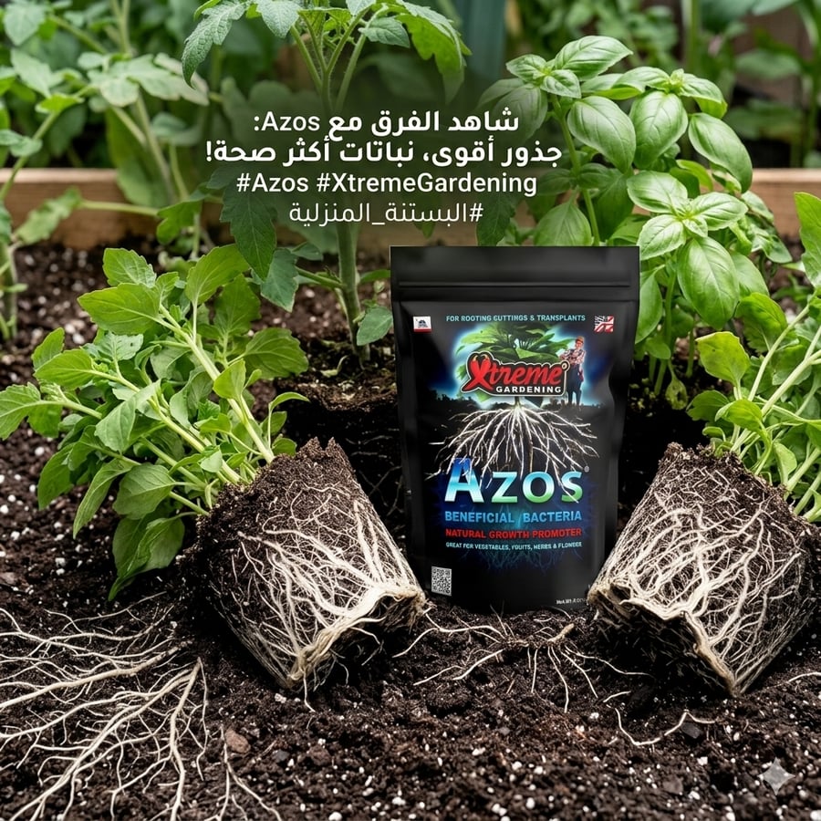 بكتيريا نافعة - AZOS Beneficial Bacteria