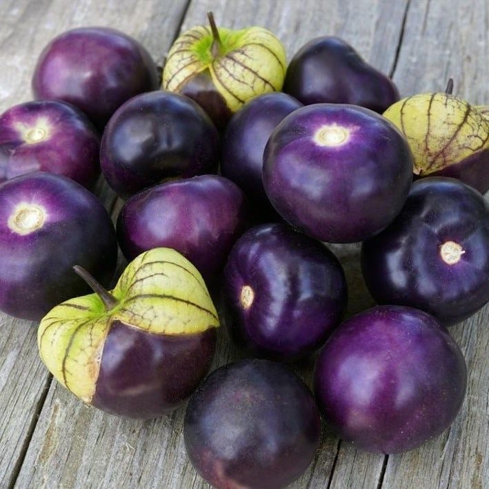بذور توماتيلو دي ميلبا - - Tomate 'Speckled Roman' - Tomatillo de melba seeds