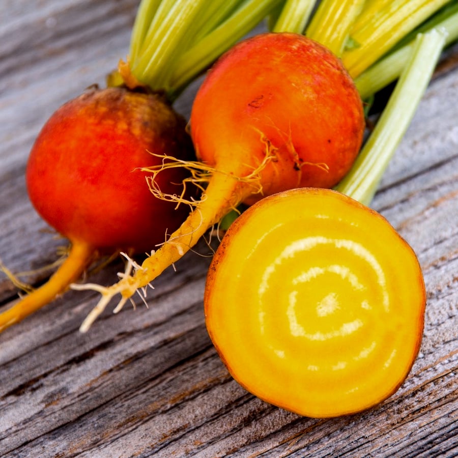 بذور شمندر( بنجر ) بوربي الذهبي -Golden Burpee Beetroot Seeds