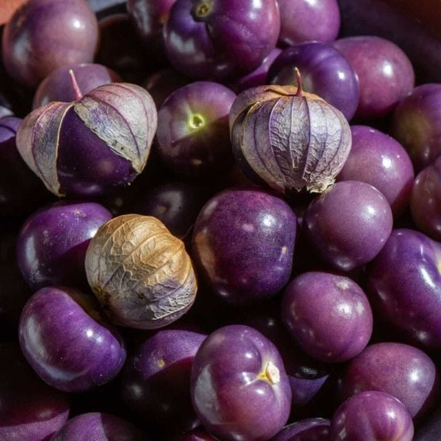 بذور توماتيلو دي ميلبا - - Tomate 'Speckled Roman' - Tomatillo de melba seeds