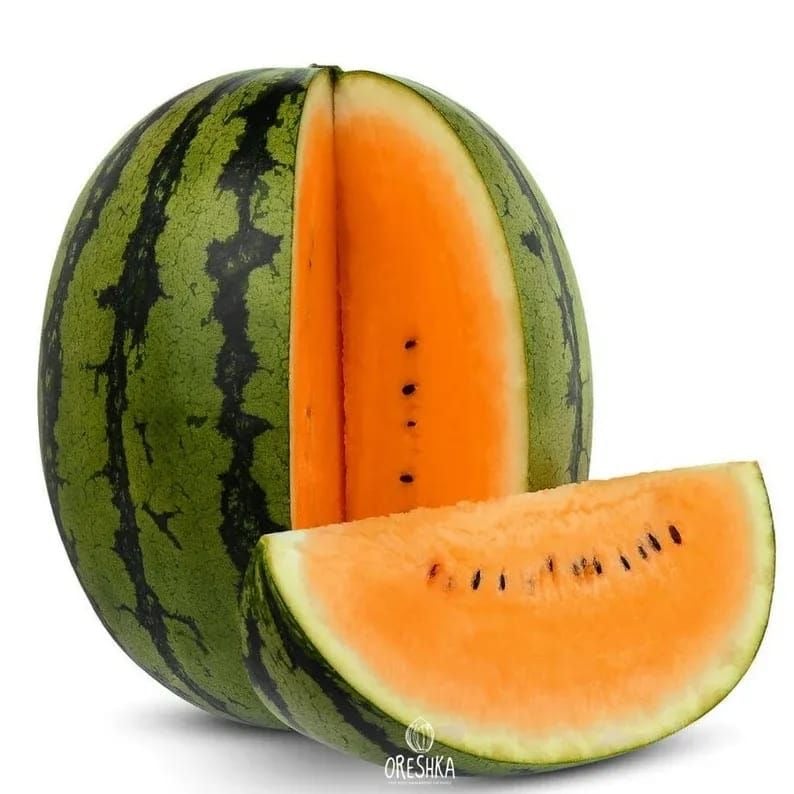 بذور البطيخ  برتقالي سكري - -Watermelon Tendersweet Orange