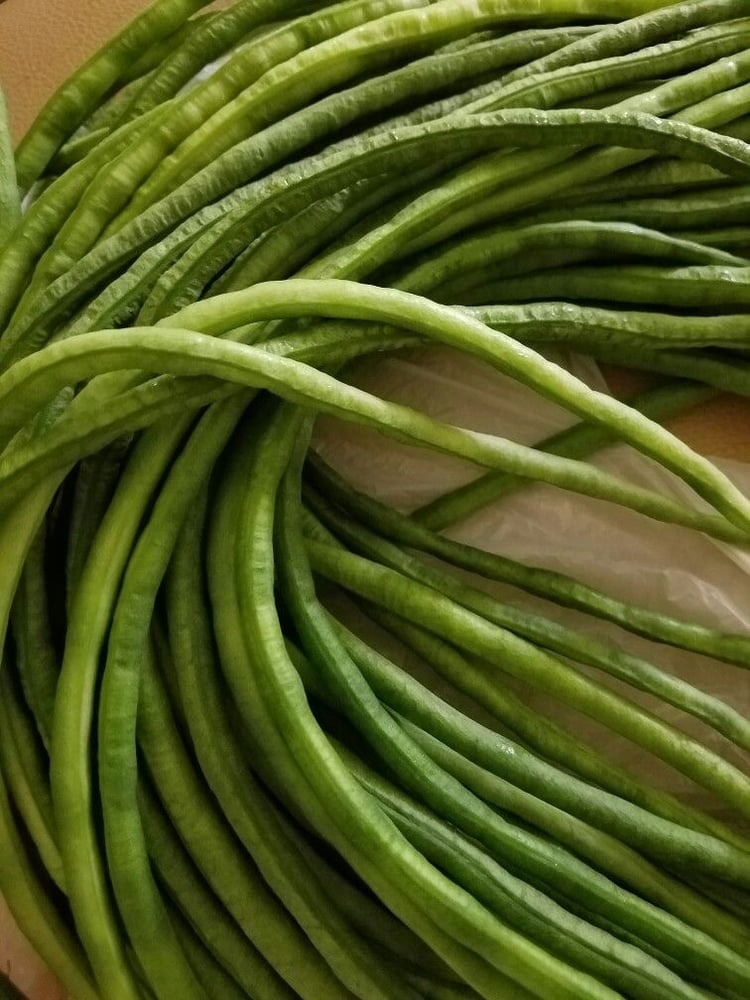 بذور فاصوليا النودلز الطويلة (متوارث ) - Long bean noodles (heirloom)