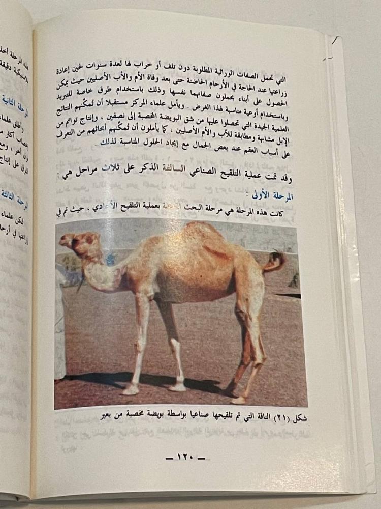 الجمل العربي بين العلم والتراث