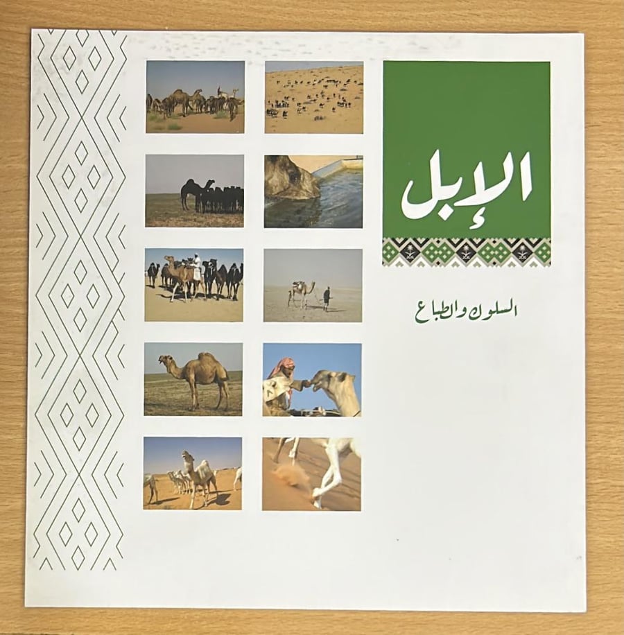 الإبل السلوك والطباع