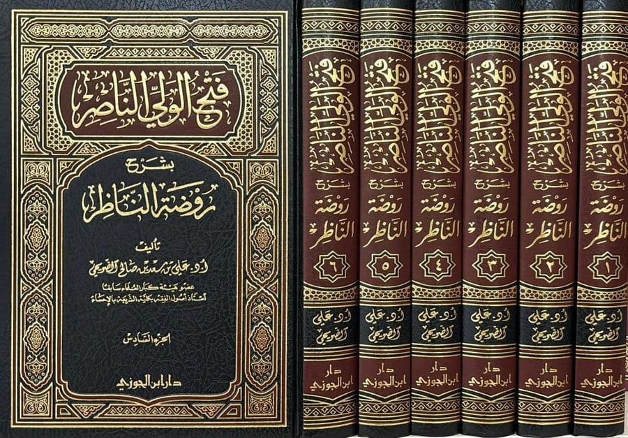 فتح الولي الناصر بشرح روضة الناظر 6/1
