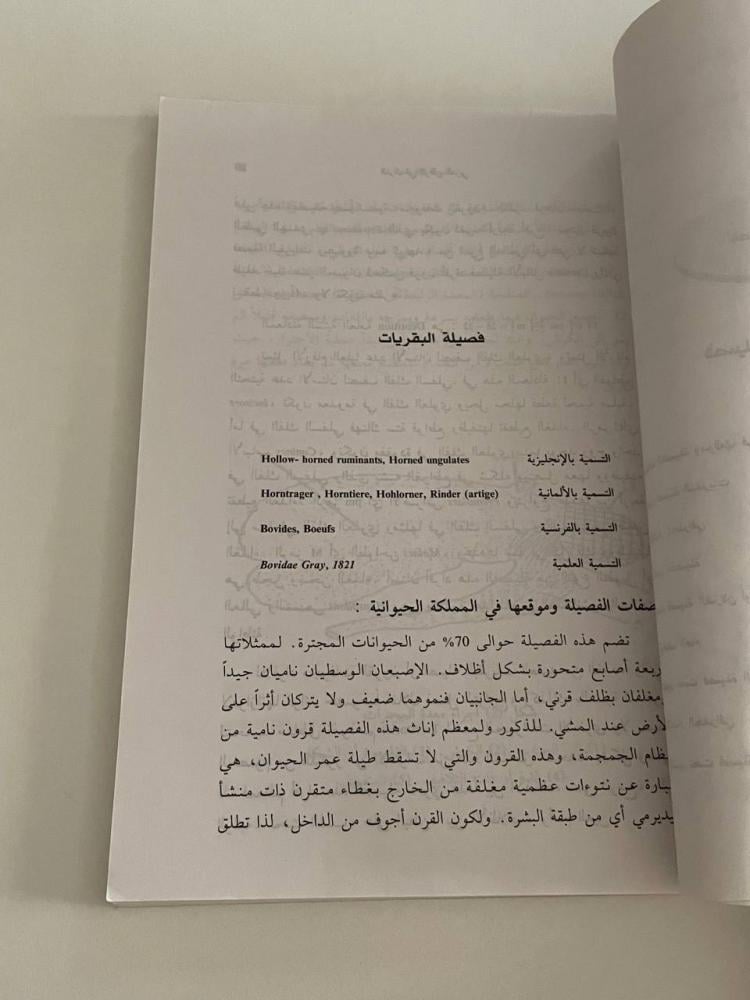 الغزال في الوطن العربي بيئته وبيولوجيته