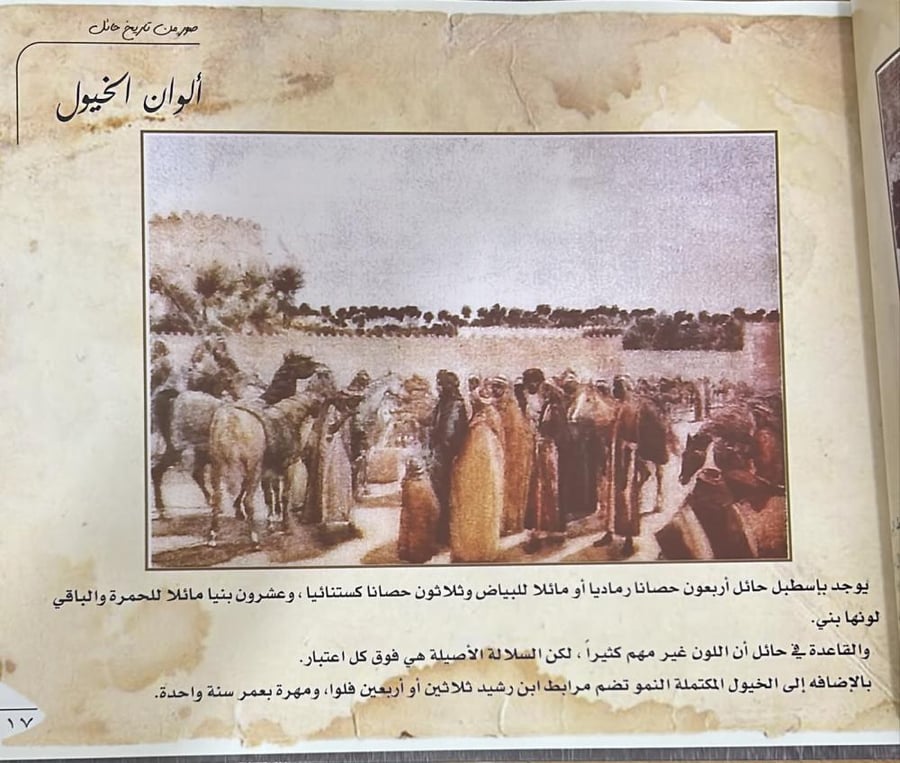 صور من تاريخ حائل