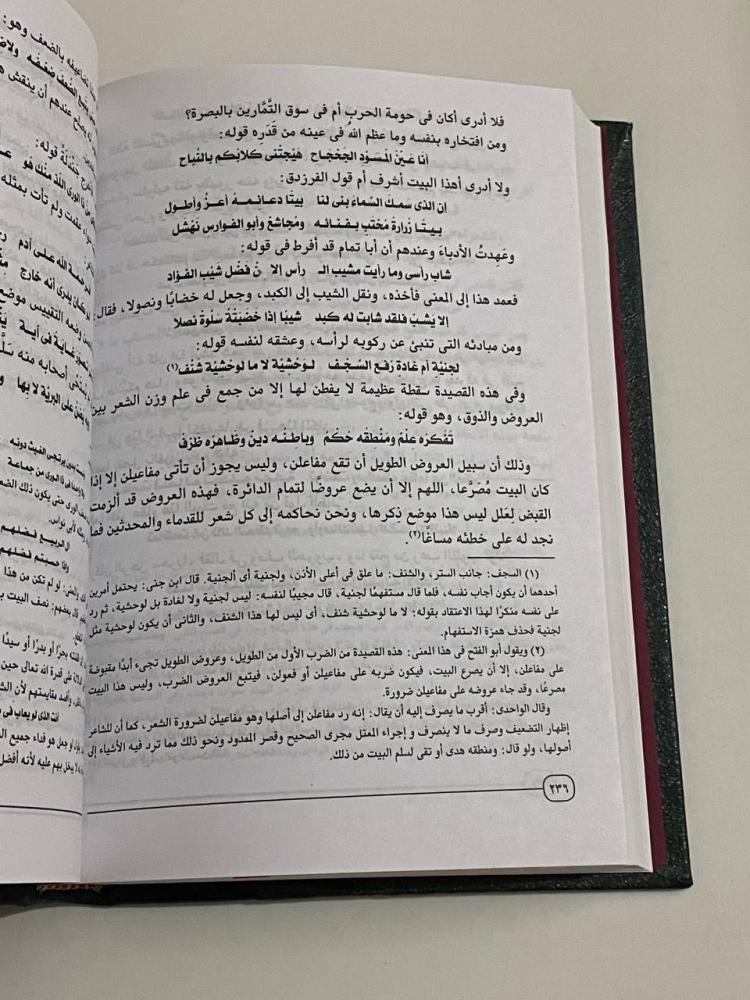 الإبانة عن سرقات المتنبي
