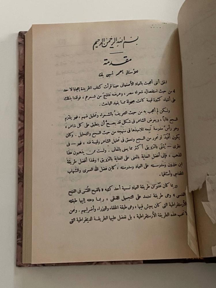 خريدة القصر وجريدة العصر ج١
