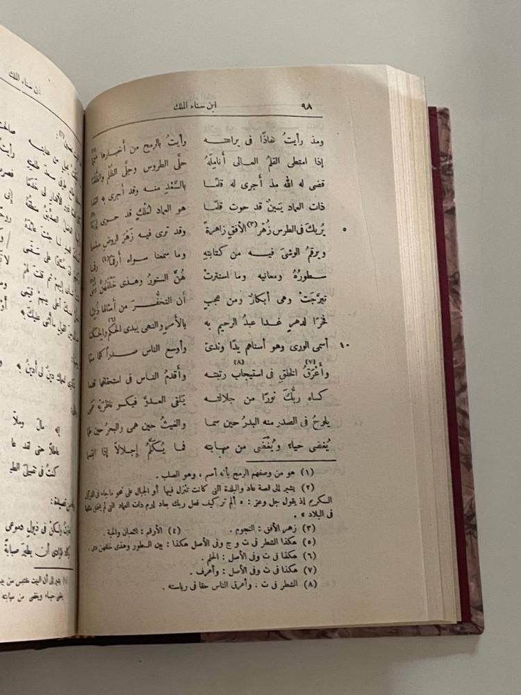 خريدة القصر وجريدة العصر ج١
