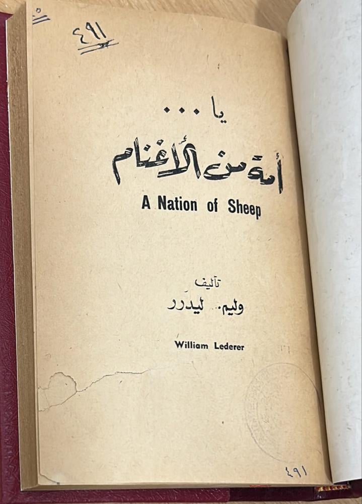 يا أمة من الأغنام