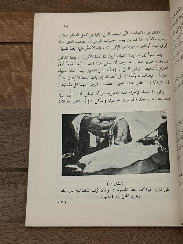 الحيوان في خدمة الطب