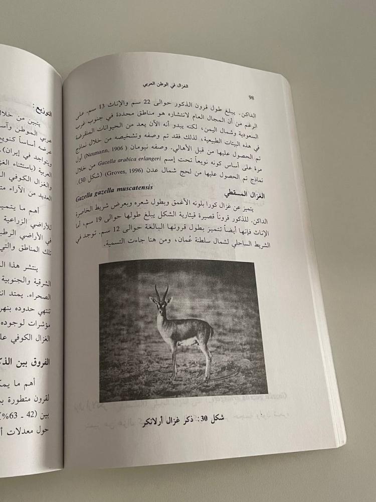 الغزال في الوطن العربي بيئته وبيولوجيته