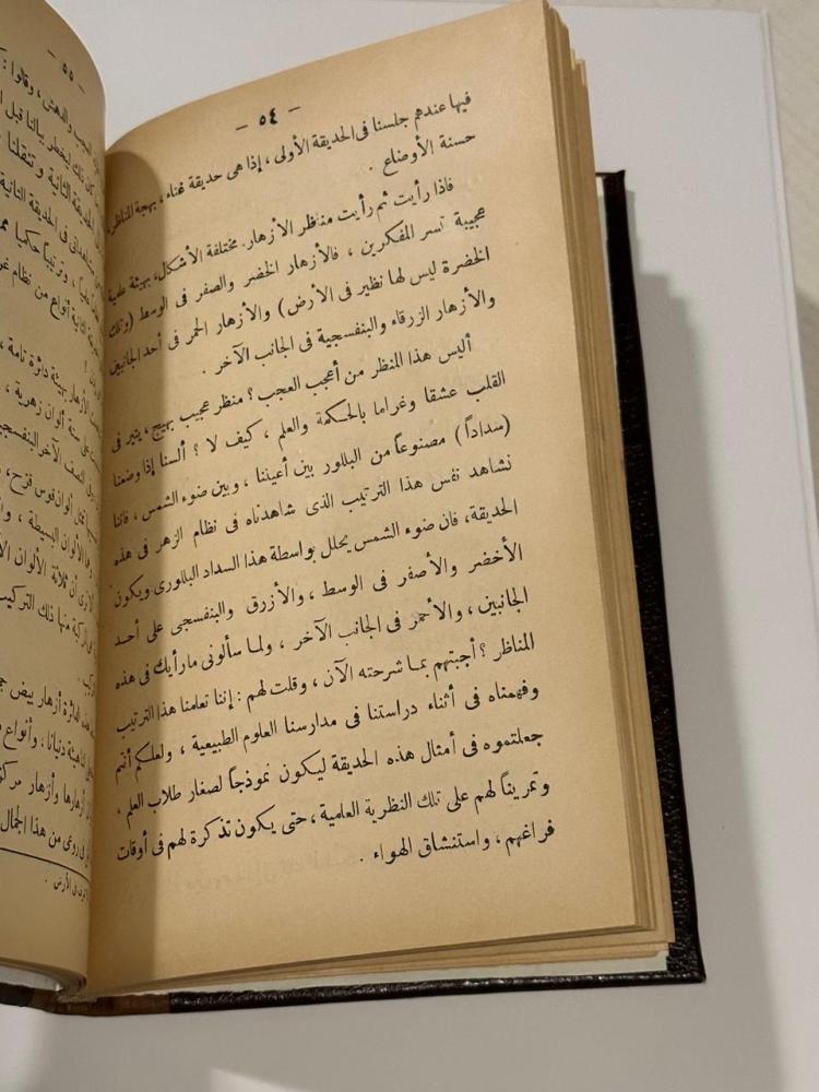 أحلام في السياسة وكيف يتحقق السلام العام