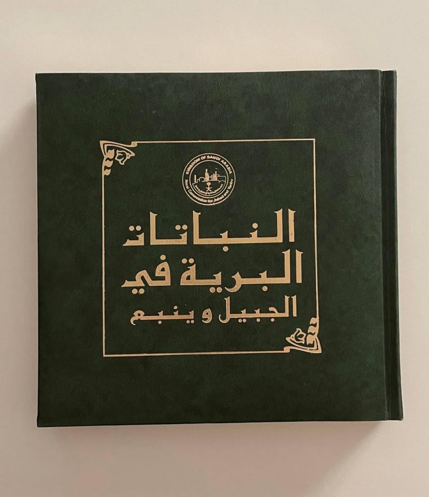 النباتات البرية في الجبيل وينبع .. خصائصها العامة واستخداماتها