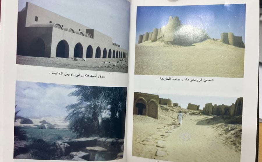 صحراء مصر الغربية