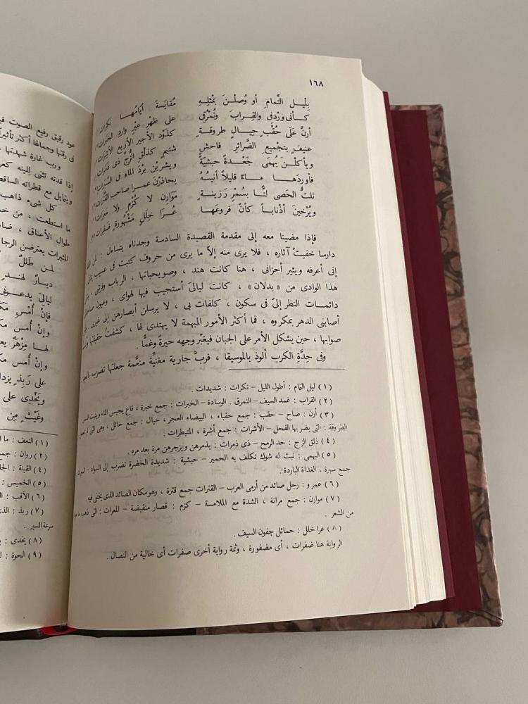 امرؤ القيس حياته وشعره - دار المعارف / تجليد كعب