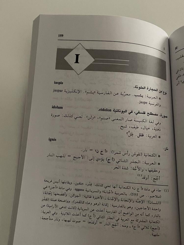 اللاتينية العربية  دراسة مقارنة بين لغتين بعيدتين قريبتين