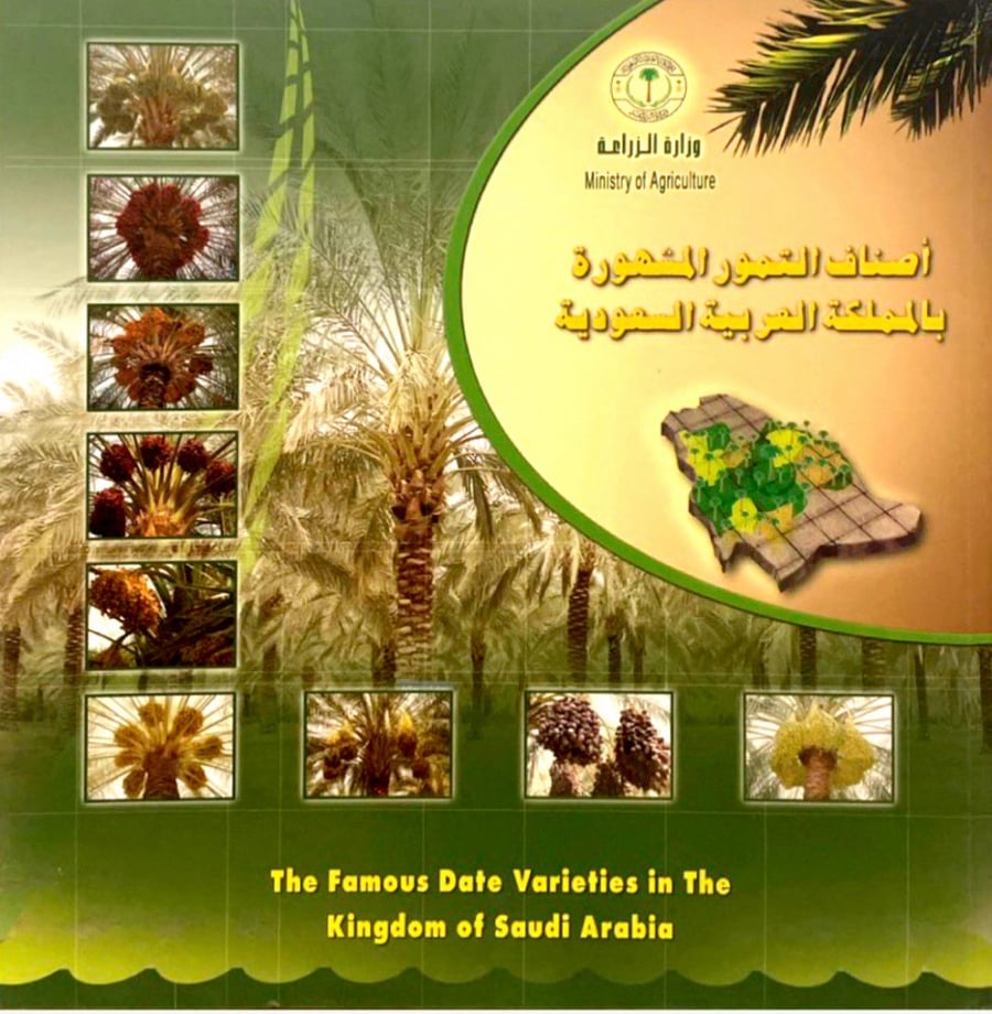أصناف التمور المشهورة بالمملكة العربية السعودية