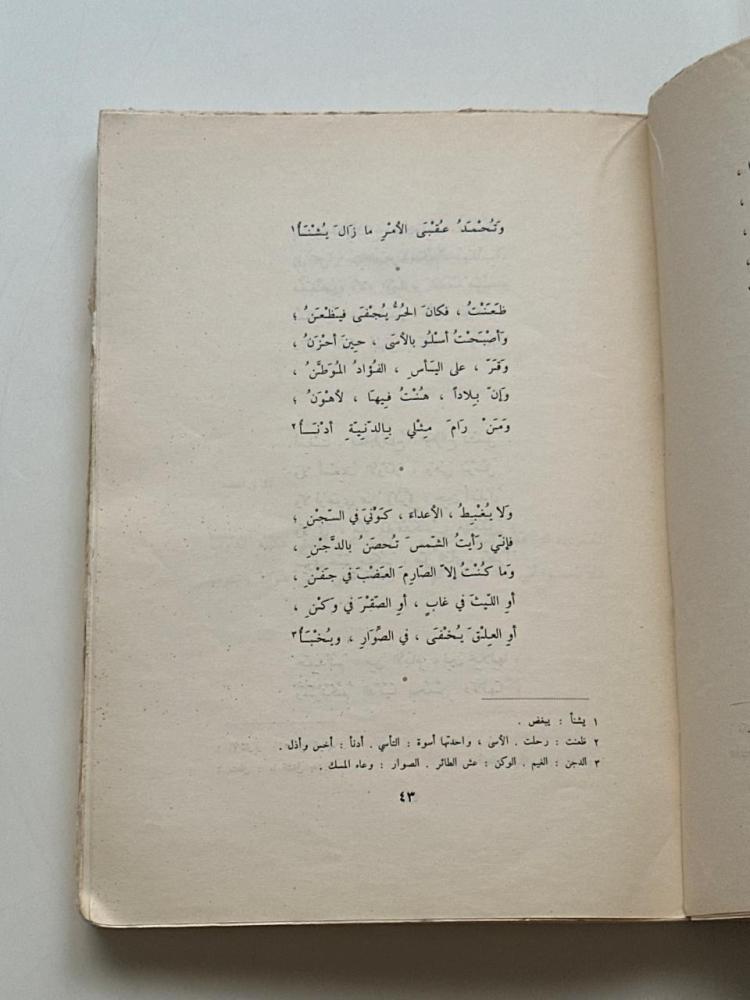 ديوان ابن زيدون - غلاف